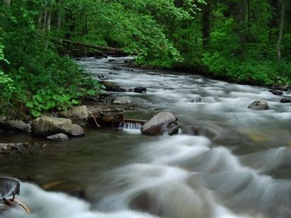 Our Rivers homepage background