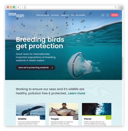 mcs_homepage.png